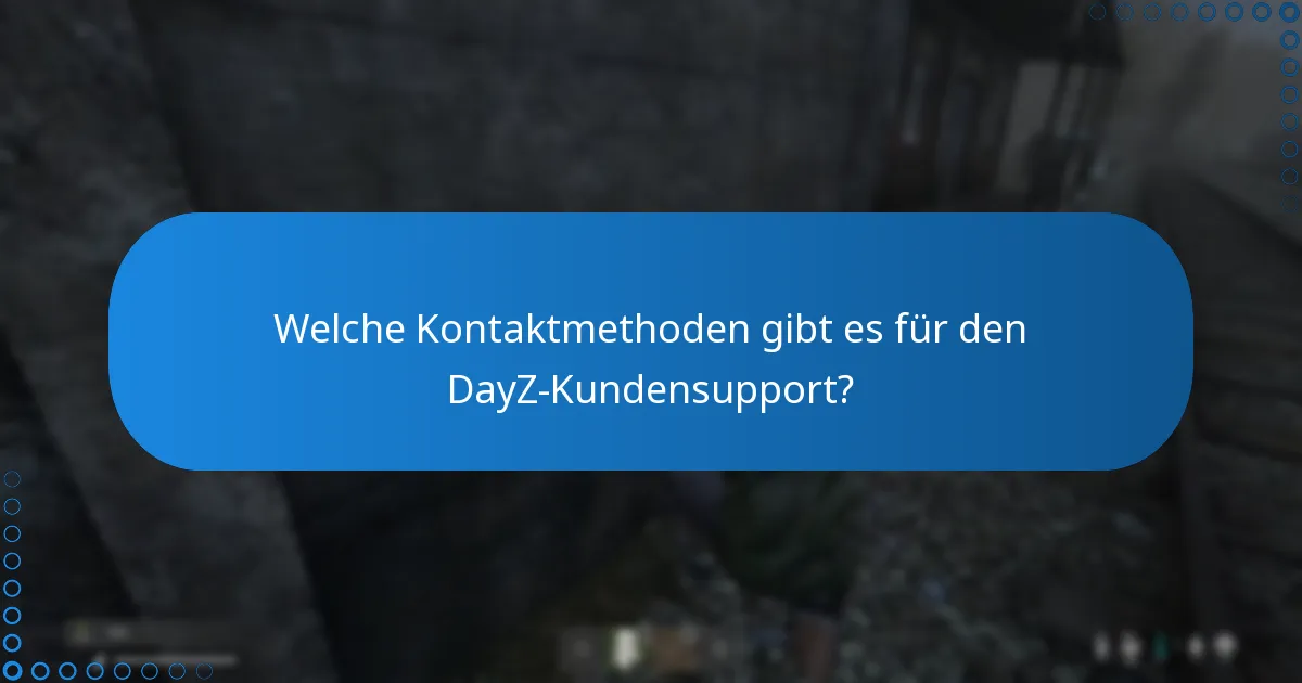 Wo finde ich offiziellen Support für DayZ-DLC-Probleme?