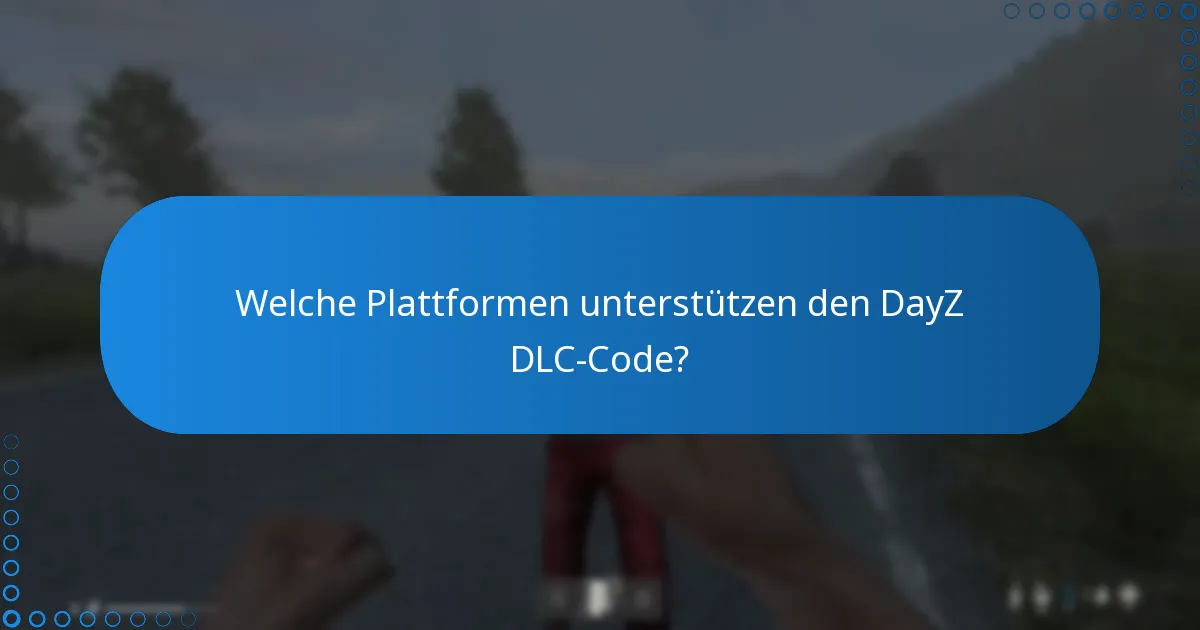 Wo kann ich Community-Diskussionen über den DayZ DLC-Code finden?