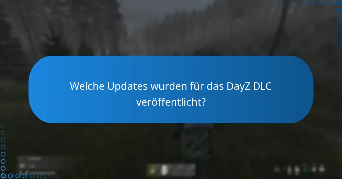 Welche Patches wurden auf das DayZ DLC angewendet?