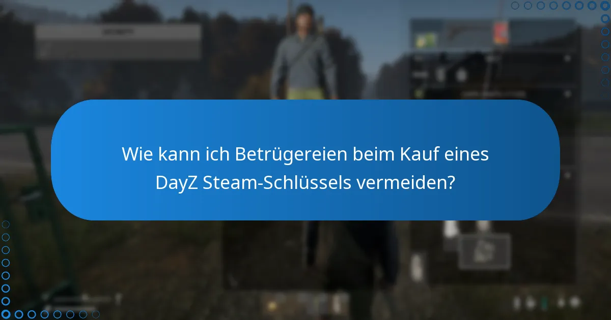 Was sind die Risiken beim Kauf eines DayZ Steam-Schlüssels von unautorisierten Verkäufern?