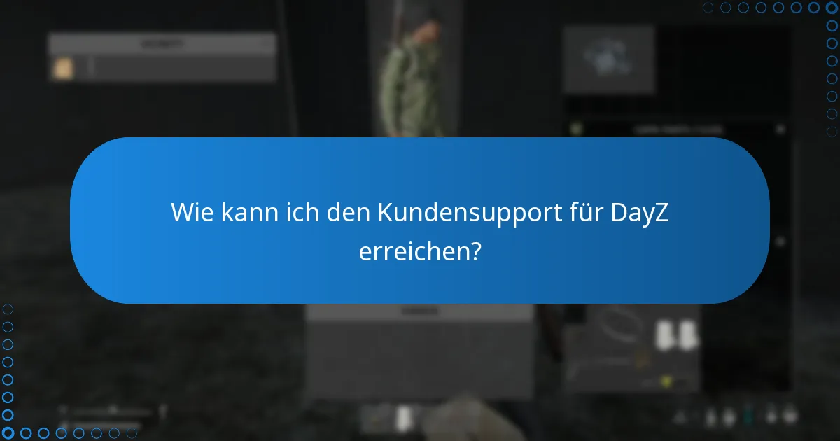 Was sind die Risiken beim Kauf eines DayZ Steam-Schlüssels?